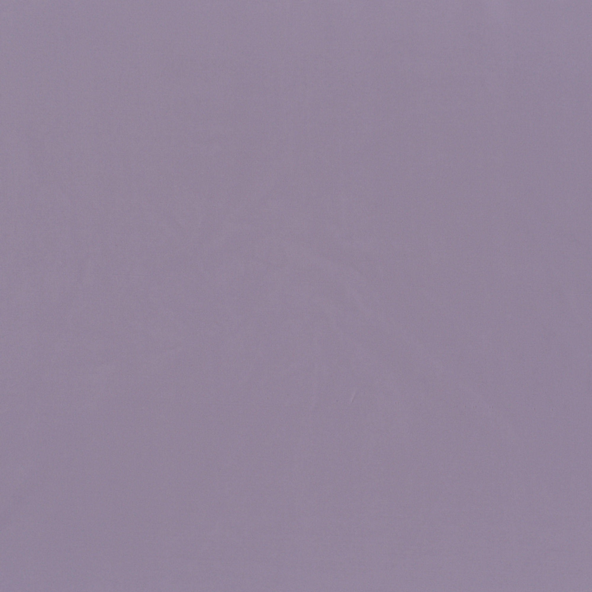elastic single jersey